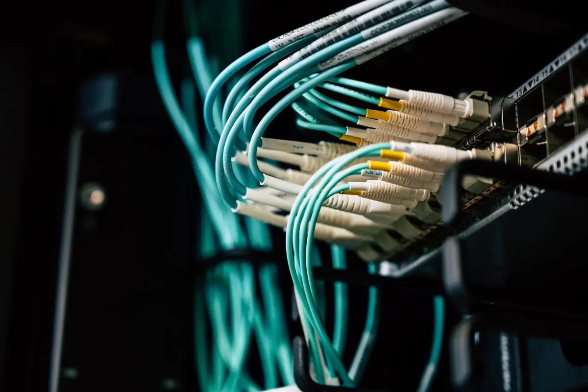 Cabluri de rețea conectate într-un rack de servere