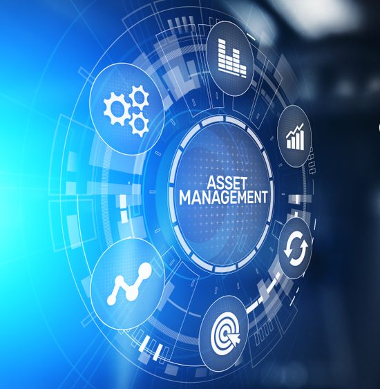 servicii it management