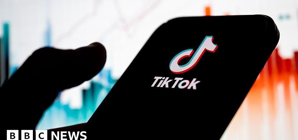 Vizual pentru tiktok investors limbo pe secureitsolutions.ro