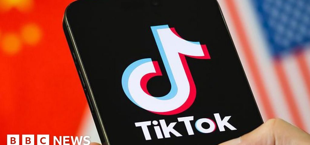Vizual pentru will tiktok deal pe secureitsolutions.ro