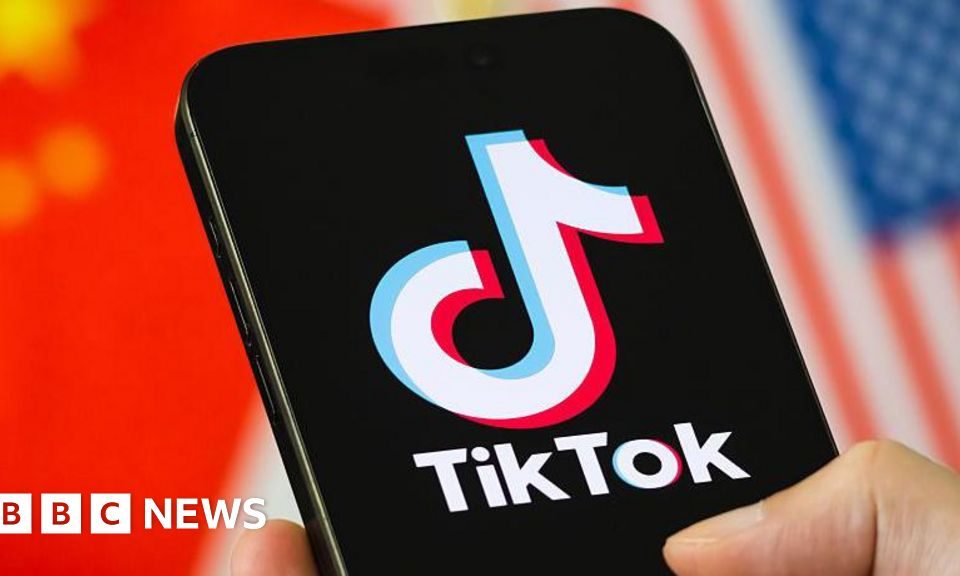 Vizual pentru will tiktok deal pe secureitsolutions.ro