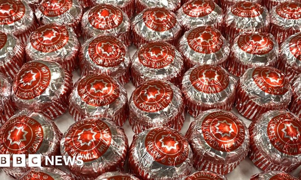 Foto reprezentând will tech trump - Outsourcing IT Romania