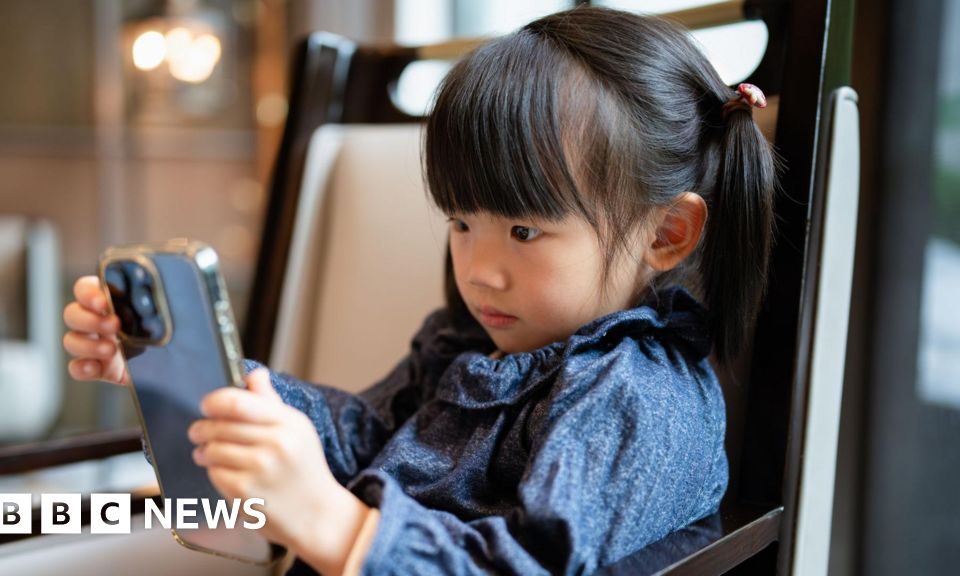 Vizual pentru china crack down pe secureitsolutions.ro