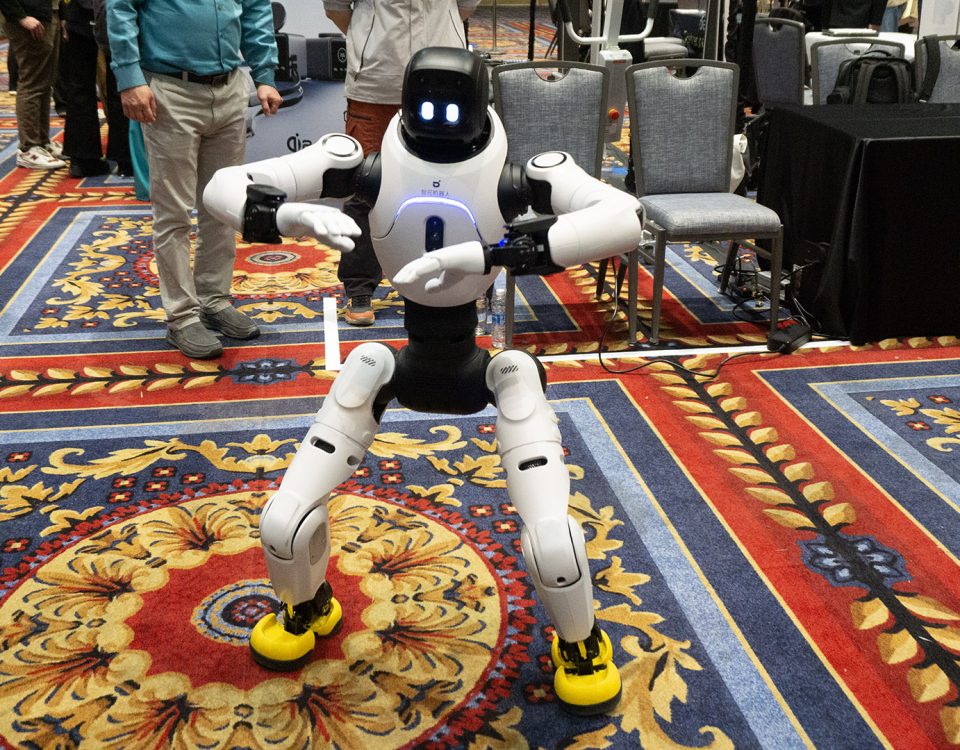 Vizual pentru robots 2026 lovable pe secureitsolutions.ro