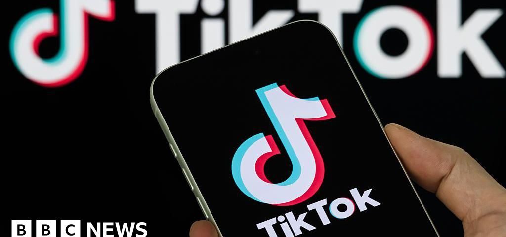 what does tiktok - Imagine ilustrativă