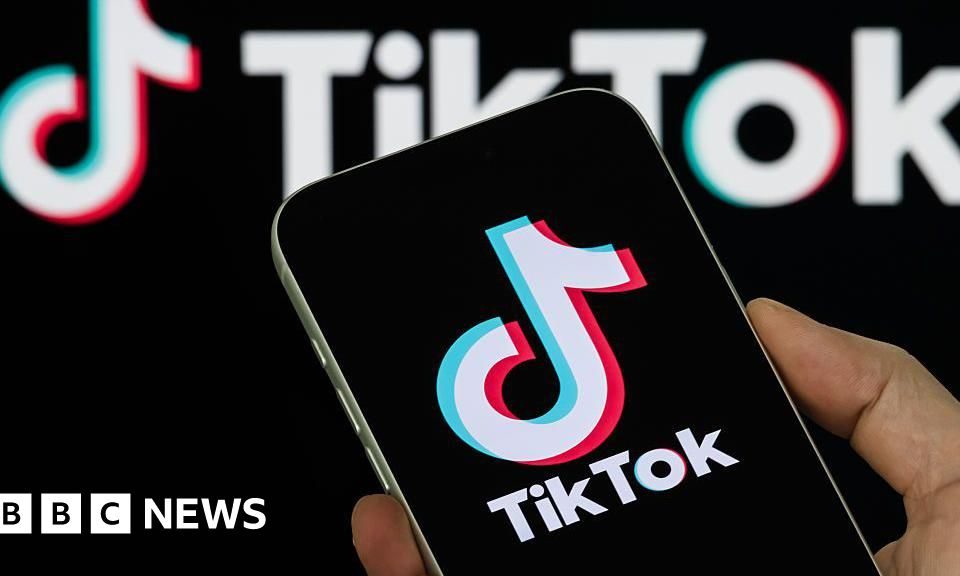 what does tiktok - Imagine ilustrativă