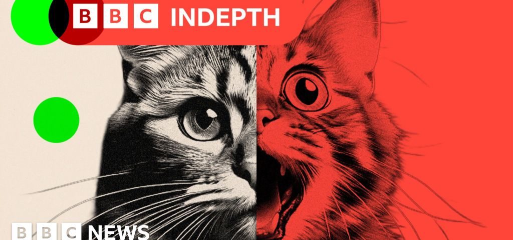 Foto reprezentând slop transforming social - Outsourcing IT Romania