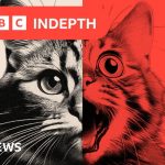 Foto reprezentând slop transforming social - Outsourcing IT Romania