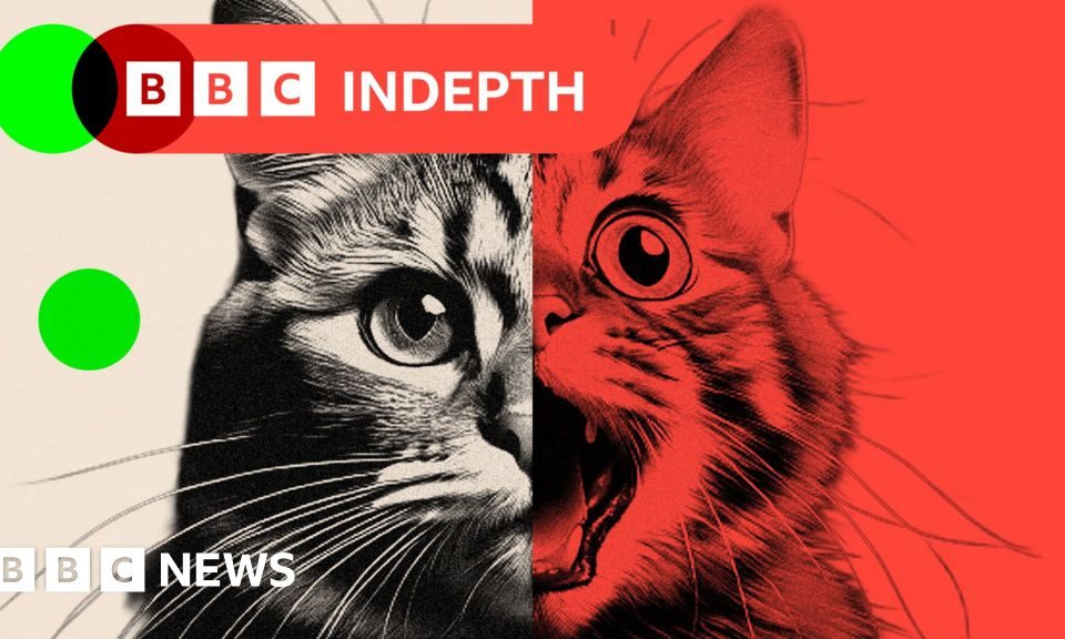 Foto reprezentând slop transforming social - Outsourcing IT Romania