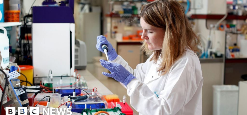 Vizual pentru research fund faces pe secureitsolutions.ro