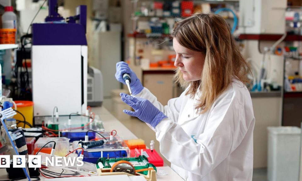 Vizual pentru research fund faces pe secureitsolutions.ro