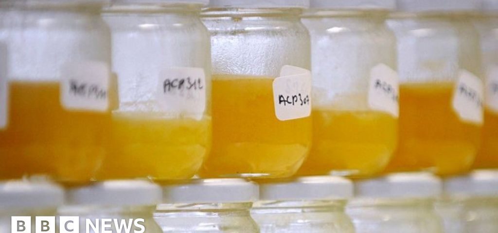 Vizual pentru food fraud persists pe secureitsolutions.ro