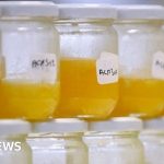 Vizual pentru food fraud persists pe secureitsolutions.ro