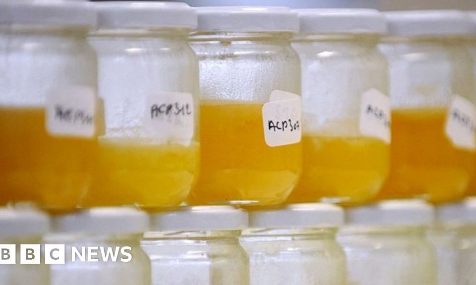 Vizual pentru food fraud persists pe secureitsolutions.ro