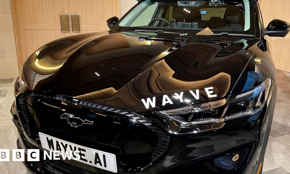 even potholes will - Imagine ilustrativă