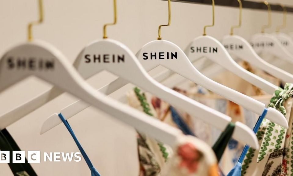 shein elusive boss - Imagine ilustrativă