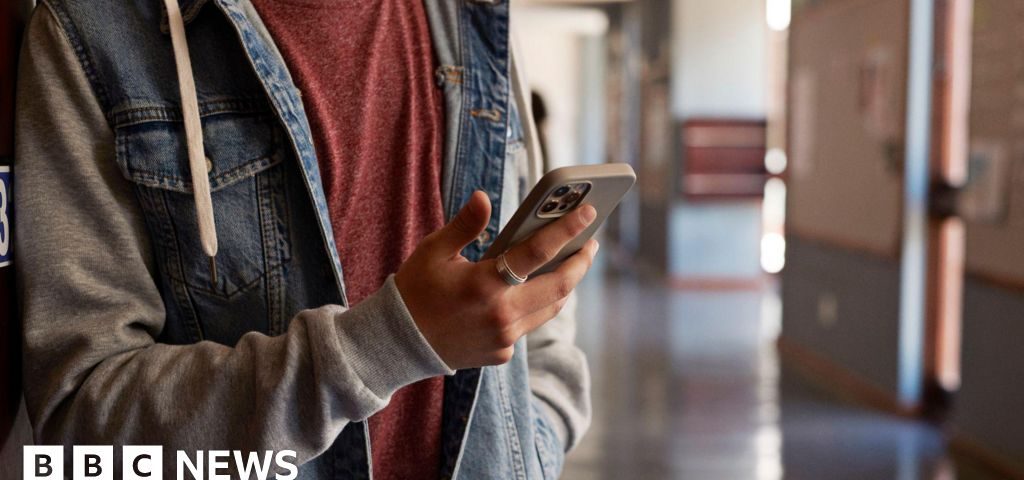 Foto reprezentând consultation social media - Outsourcing IT Romania